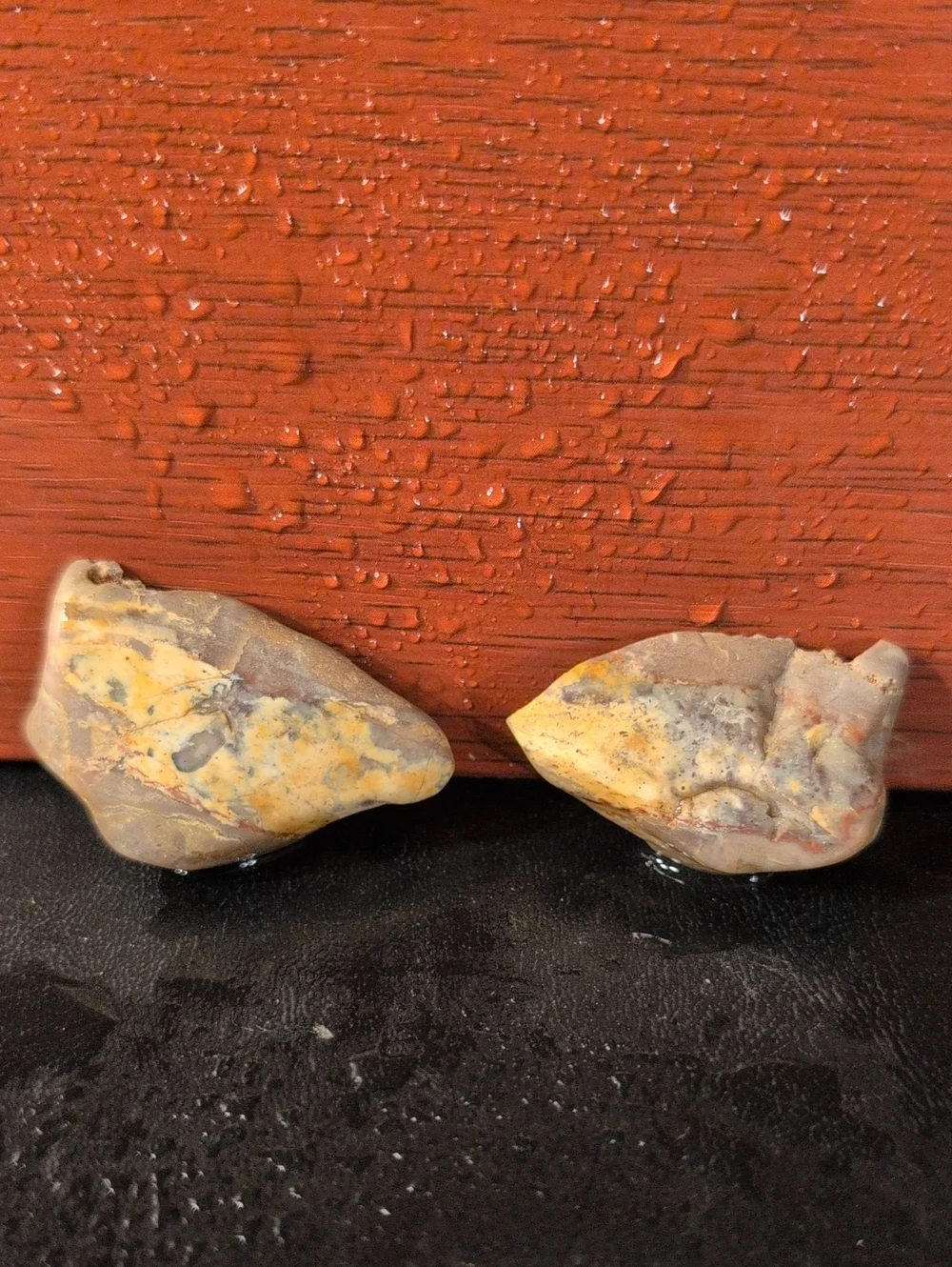 Agate #42